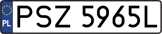PSZ5965L