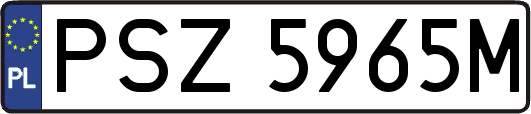 PSZ5965M