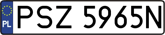 PSZ5965N
