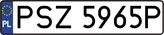 PSZ5965P