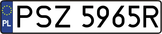 PSZ5965R