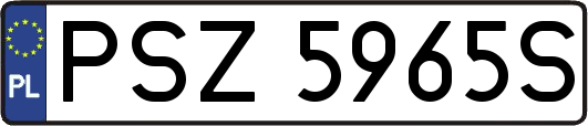PSZ5965S
