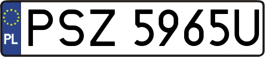 PSZ5965U