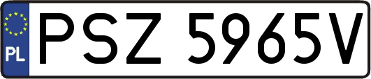 PSZ5965V