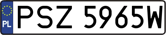 PSZ5965W