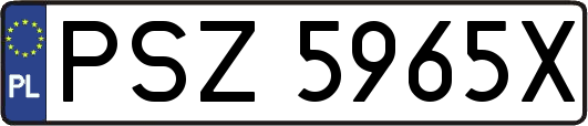 PSZ5965X