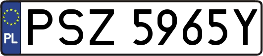 PSZ5965Y