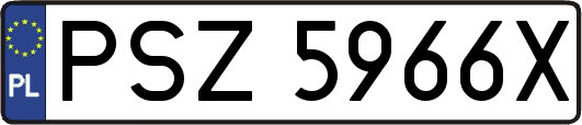 PSZ5966X