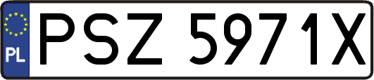 PSZ5971X