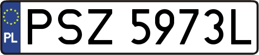 PSZ5973L