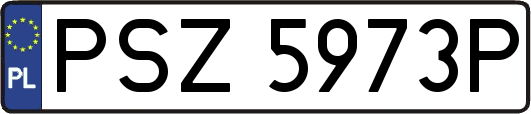 PSZ5973P