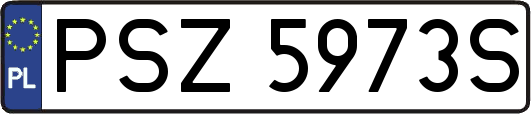 PSZ5973S
