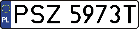PSZ5973T
