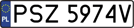 PSZ5974V
