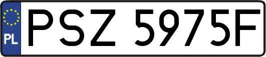 PSZ5975F