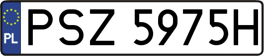 PSZ5975H