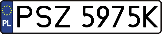 PSZ5975K