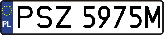 PSZ5975M