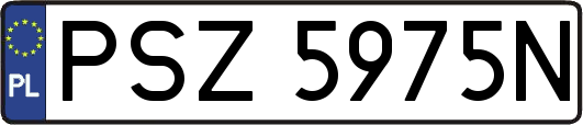 PSZ5975N
