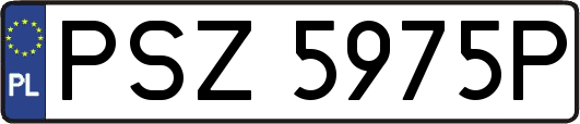 PSZ5975P