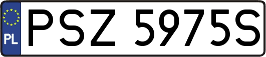 PSZ5975S