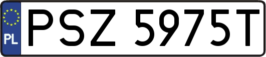 PSZ5975T