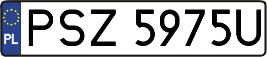 PSZ5975U