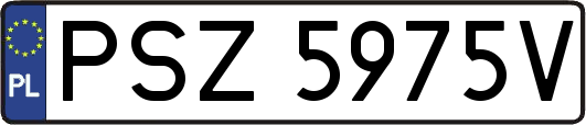 PSZ5975V