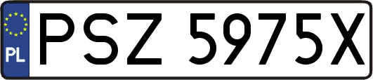 PSZ5975X