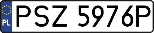 PSZ5976P