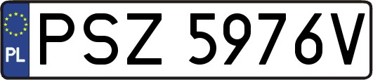PSZ5976V