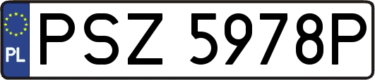 PSZ5978P