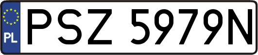 PSZ5979N