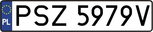 PSZ5979V