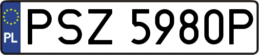 PSZ5980P