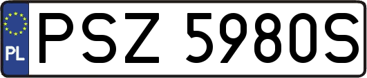 PSZ5980S