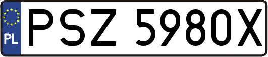 PSZ5980X