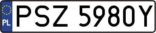 PSZ5980Y