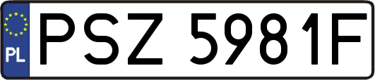 PSZ5981F