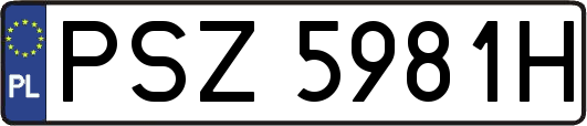 PSZ5981H