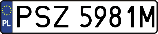 PSZ5981M