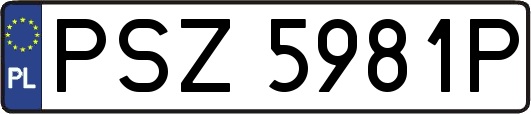 PSZ5981P