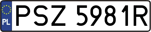 PSZ5981R