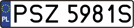 PSZ5981S