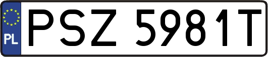 PSZ5981T