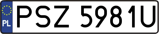 PSZ5981U