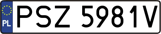 PSZ5981V