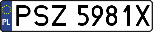 PSZ5981X