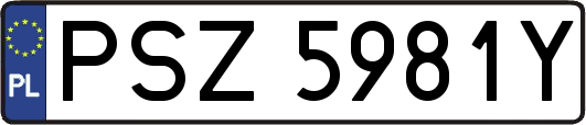 PSZ5981Y