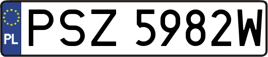 PSZ5982W